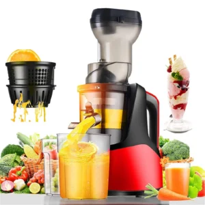 Extracteur de Jus Professionnel